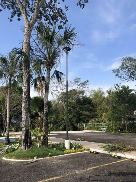 parking lot post top light project case