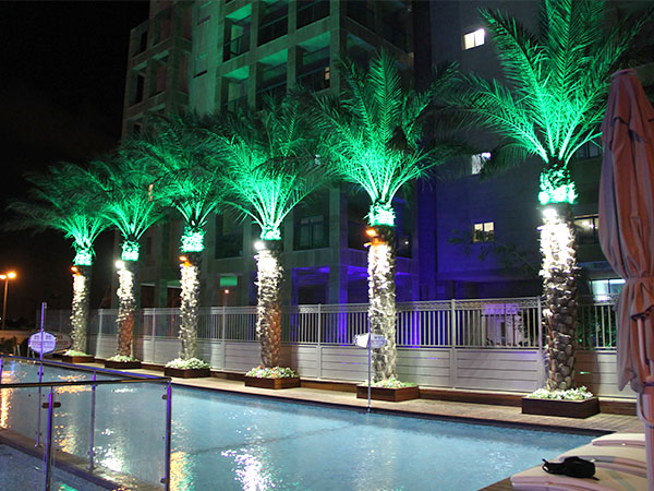 rgb led flood light project case in Israel