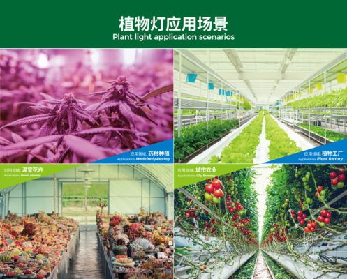 CCTV brings the goods! CCTV2 reported that YaoRong LED grow lights are “Outstanding”