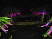 The development of vertical agriculture and the opportunity of LED grow lights