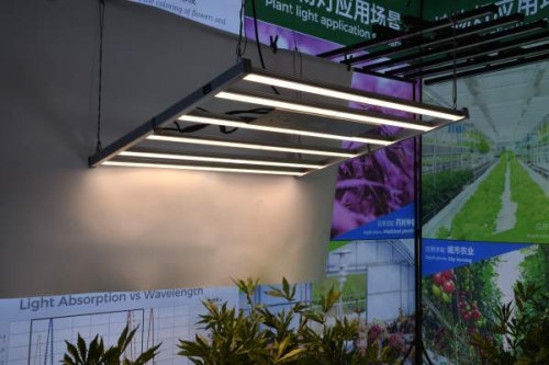 How to choose yaorong LED grow lights for indoor planting?