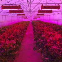 In what ways can yaorong LED grow lights play the best role