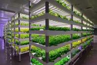 How to extend the life cycle of LED grow lights?