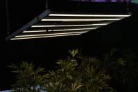 600wLED plant light to grow vegetables without relying on heaven and earth