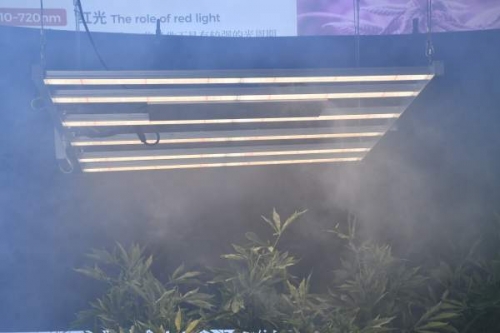 Yaorong Technology 800wled plant light is better than traditional plant light