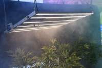  What should we pay attention to when choosing LED plant light