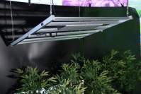 The effect of LED plant lights on plant growth