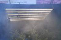 Is LED plant light really useful for supplementing light in greenhouse vegetable