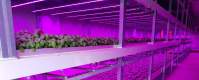  Future prospects and advantages of LED plant lights